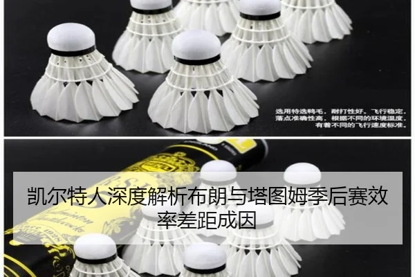 凯尔特人深度解析布朗与塔图姆季后赛效率差距成因
